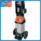 CV (IE3)